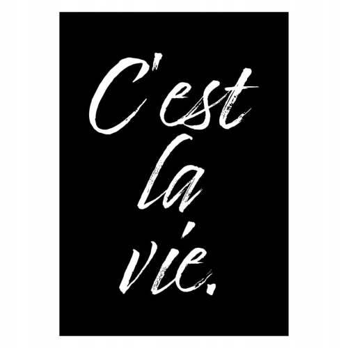 Plakat C'est la vie typograficzny