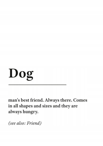 Plakat słownik miejski slang Dog
