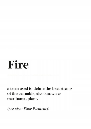 Plakat słownik miejski slang Fire