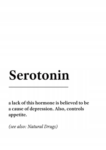 Plakat słownik miejski slang Serotonin