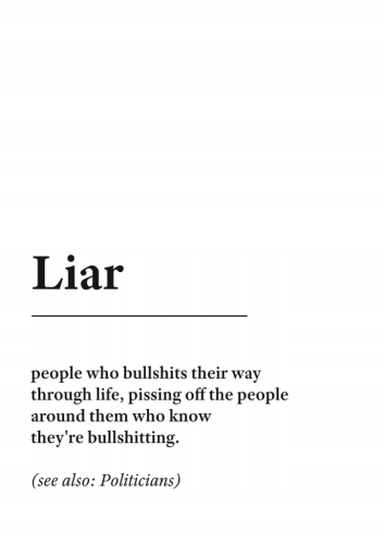 Plakat słownik miejski slang Liar