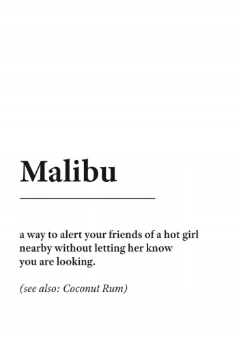 Plakat słownik miejski slang Malibu
