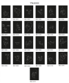238bddac45110e83c5da07cd78cc9a3c