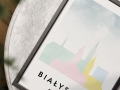 Mockup 4_Białystok-20.jpg
