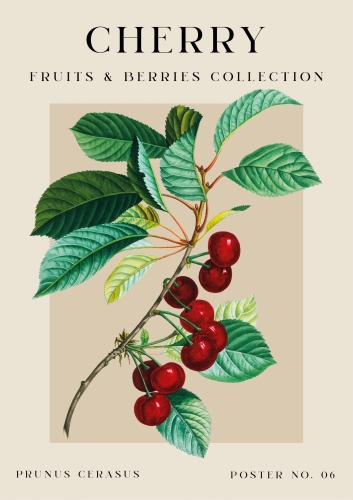 Vintage fruits pojedyncze-04.jpg