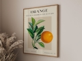 Mockup 3_Vintage fruits pojedyncze-11.jpg