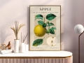 Mockup 1_Vintage fruits zbiorowe-01.jpg