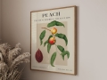 Mockup 3_Vintage fruits zbiorowe-17.jpg
