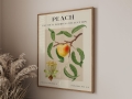 Mockup 3_Vintage fruits zbiorowe-25.jpg