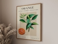 Mockup 3_Vintage fruits zbiorowe-28.jpg