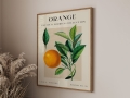 Mockup 3_Vintage fruits zbiorowe-29.jpg