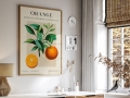 Mockup 2_Vintage fruits zbiorowe-30.jpg