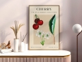 Mockup 1_Vintage fruits zbiorowe-37.jpg