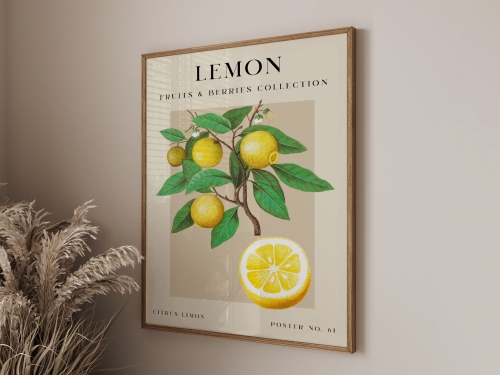 Mockup 3_Vintage fruits zbiorowe-56.jpg