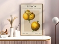 Mockup 1_Vintage fruits zbiorowe-57.jpg