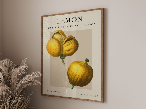 Mockup 3_Vintage fruits zbiorowe-57.jpg