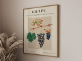 Mockup 3_Vintage fruits zbiorowe-63.jpg