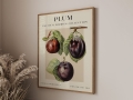 Mockup 3_Vintage fruits zbiorowe-68.jpg