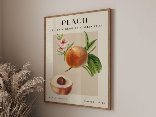 Mockup 3_Vintage fruits zbiorowe-70.jpg