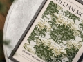 Mockup 4_William Morris-15.jpg