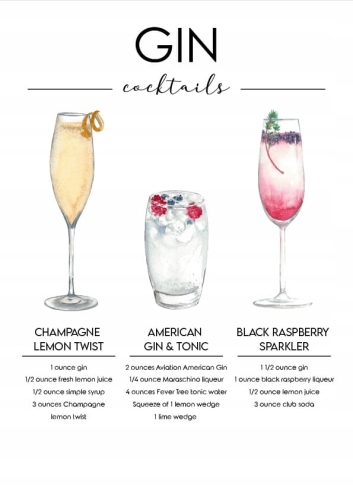 Plakat drink drinki cocktaile Gin