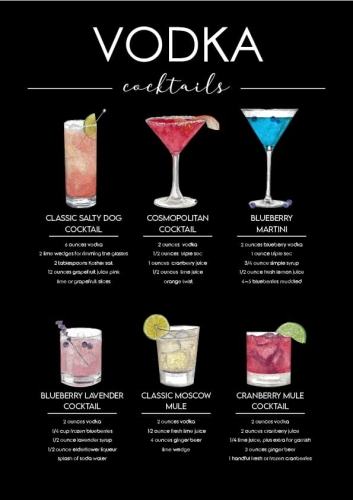 Plakat drink drinki cocktaile Wódka Vodka