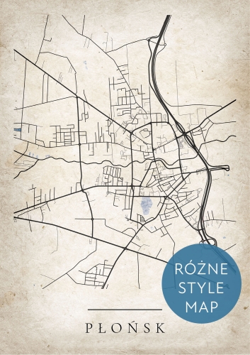 Plakat Mapa Miasta Płońsk w 12 wariantach stylu