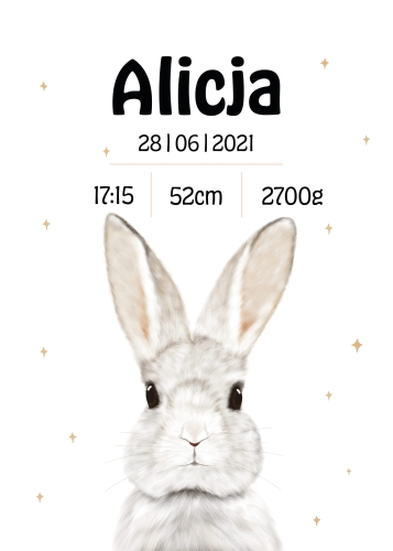 Metryczka Dziecka – Prezent na Narodziny