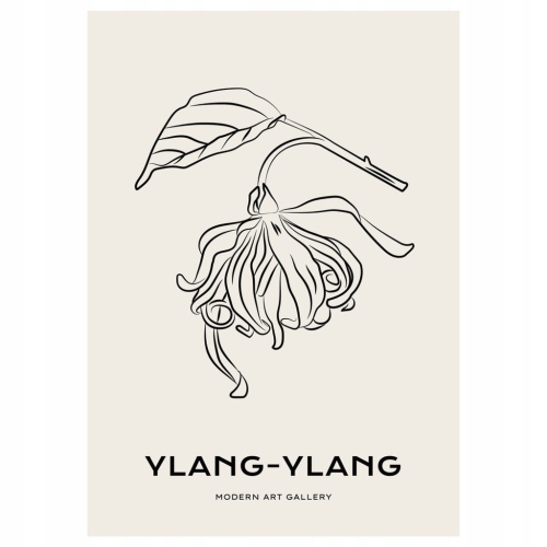 Plakat Line Art minimalizm elegancki