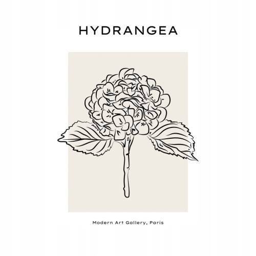 Plakat Line Art minimalizm elegancki