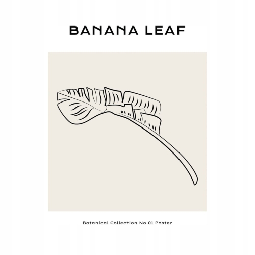 Plakat Line Art minimalizm elegancki
