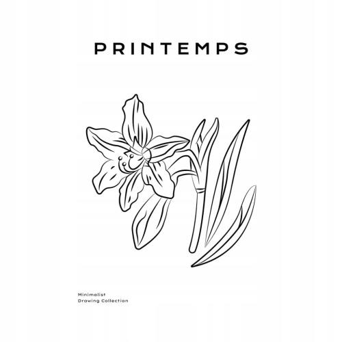 Plakat Line Art minimalizm elegancki