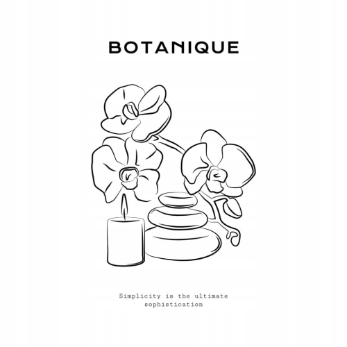 Plakat Line Art minimalizm elegancki