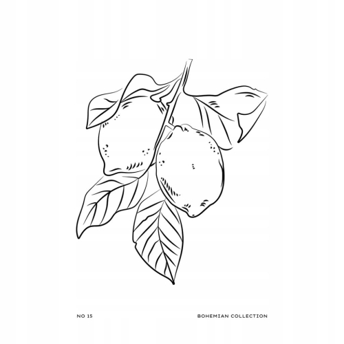 Plakat Line Art minimalizm elegancki