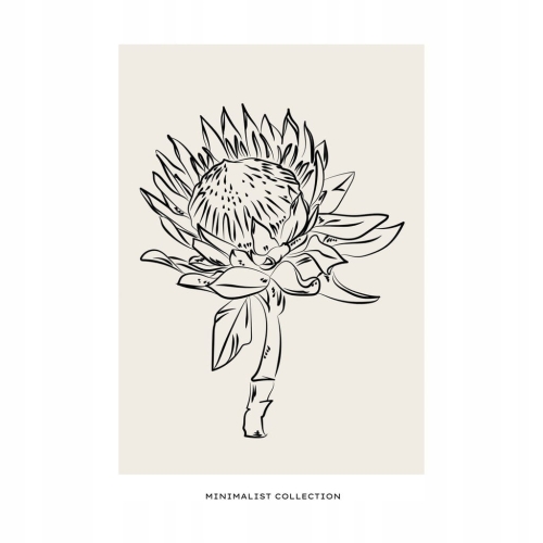 Plakat Line Art minimalizm elegancki