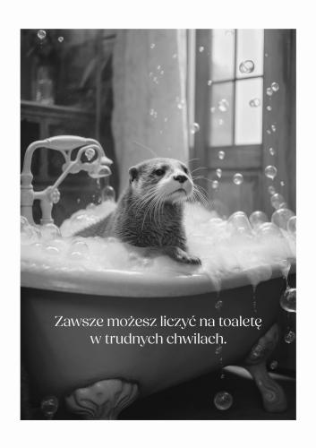 Plakat do łazienki, Humorystyczny plakat łazienkowy