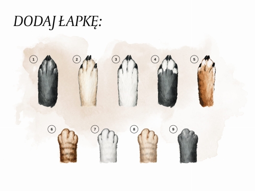 łapki pl.jpg