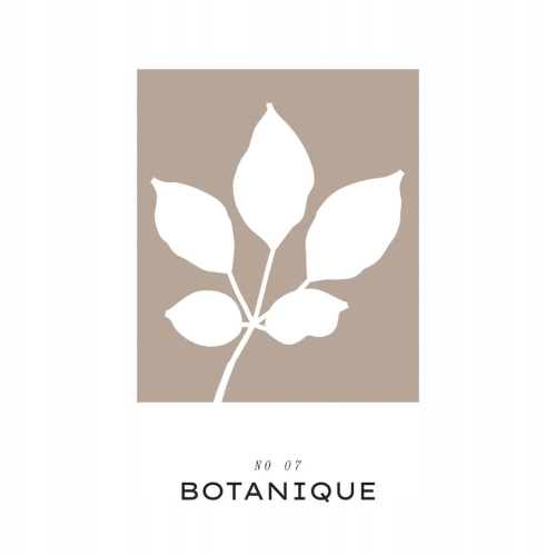 Plakat w stylu boho bohema naturalne