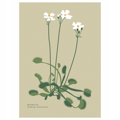 Plakat botaniczny kwiaty rośliny natura