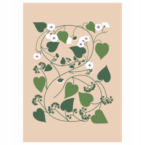 Plakat botaniczny kwiaty rośliny natura