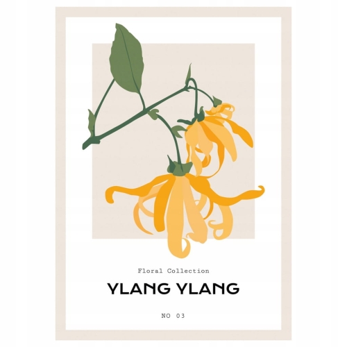 Plakat botaniczny kwiaty rośliny natura
