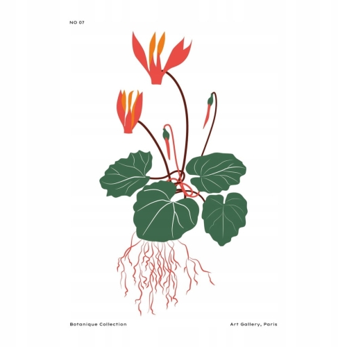 Plakat botaniczny kwiaty rośliny natura
