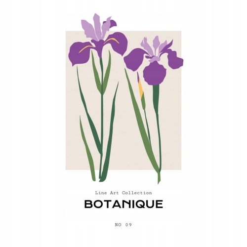 Plakat botaniczny kwiaty rośliny natura
