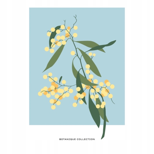 Plakat botaniczny kwiaty rośliny natura