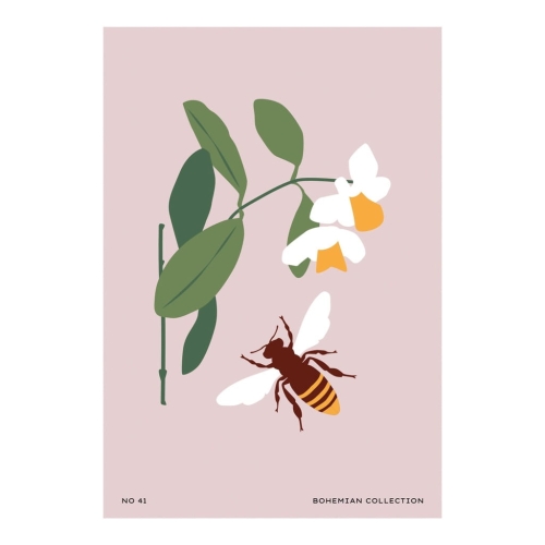 Plakat botaniczny kwiaty rośliny natura