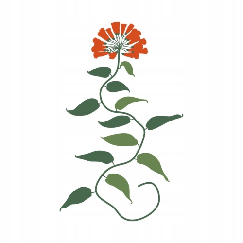 Plakat botaniczny kwiaty rośliny natura