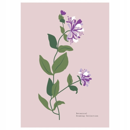 Plakat botaniczny kwiaty rośliny natura