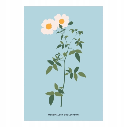 Plakat botaniczny kwiaty rośliny natura