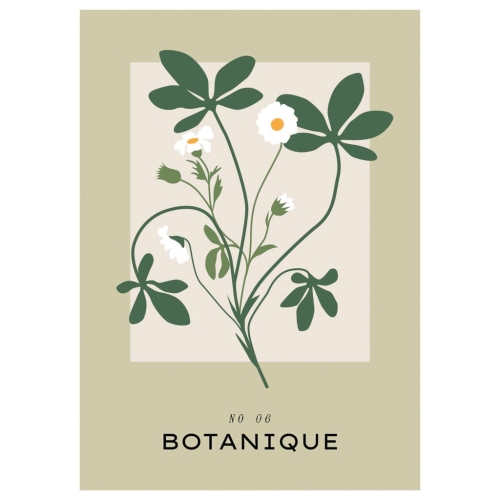 Plakat botaniczny kwiaty rośliny natura