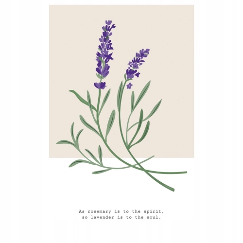Plakat botaniczny kwiaty rośliny natura